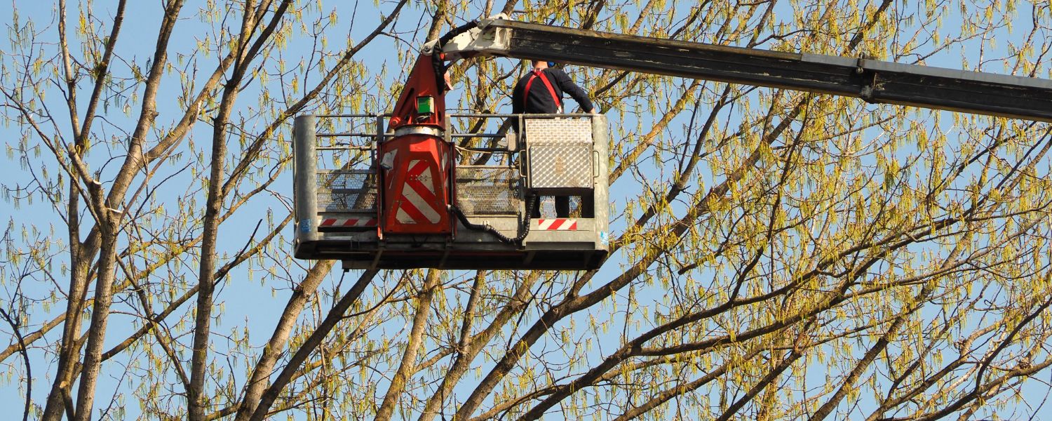 Introduzione al Noleggio Piattaforme Aeree Colleferro Noleggio Piattaforme Aeree Colleferro