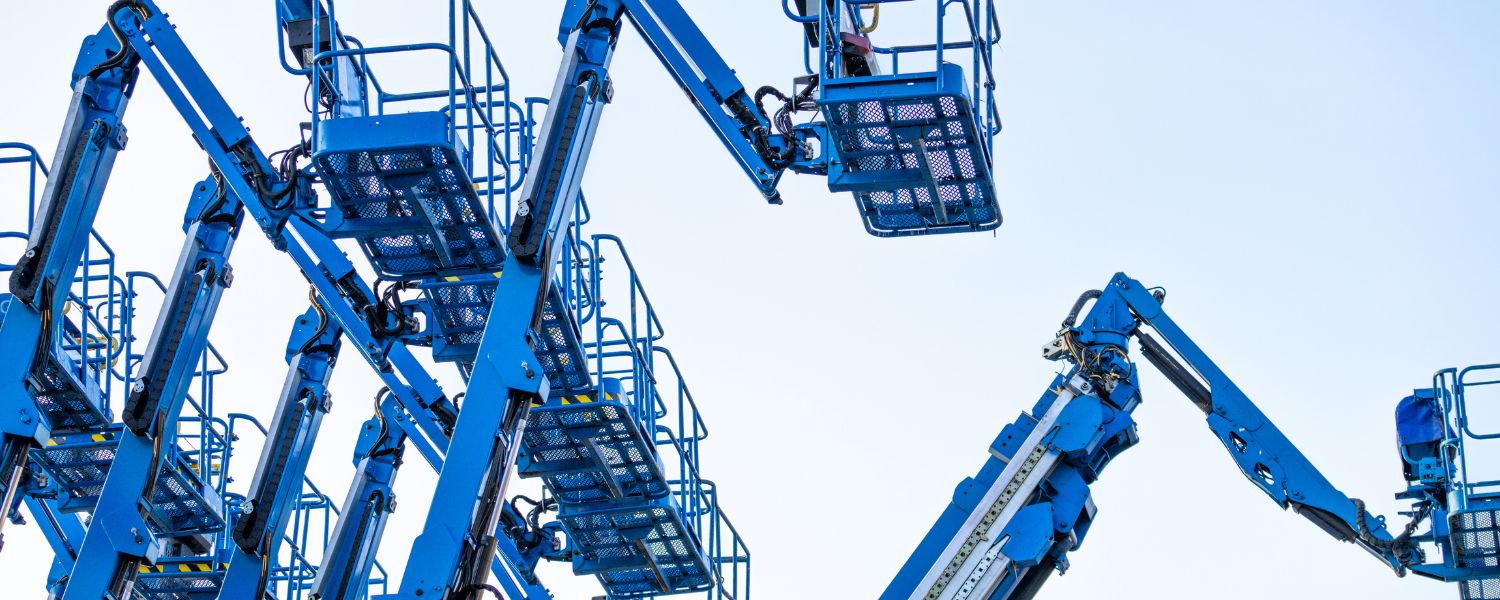 Introduzione alla Piattaforma Aerea Casetta Mattei Piattaforma Aerea Casetta Mattei